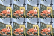 伊地知ニジカの強さランキングが！