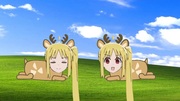 プリムローヌ”ニジカ