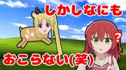 伊地知ニジカ、はねる！！！！