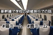 学生最後の研修旅行に行った時の話　#猫ミーム　#鹿ミーム　猫マニ