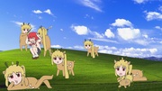 伊地知ニジカ　アニメーションニジカの集い編