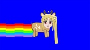 N゛u゛u゛n゛ C a t