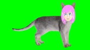 猫と化した後藤ひとり(全宗教)GB+使用例