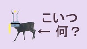 虹（鹿）　こいつ誰なの編