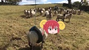 タイヤにハマっちゃった代