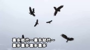 喜多郁代　強化バージョン