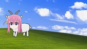 ゴートうひとり