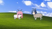 ゴートうひとり　来月返します編