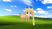 伊地知ニジカ　あきま編