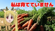 https://www.nicovideo.jp/watch/sm42790231