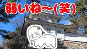 https://www.nicovideo.jp/watch/sm43765957