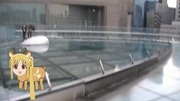 https://www.nicovideo.jp/watch/sm43743818