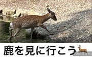 https://www.nicovideo.jp/watch/sm43930798