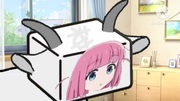 ゴー豆腐たりの誕生日をお祝いします。
