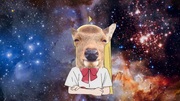 https://www.nicovideo.jp/watch/sm43369361