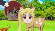 奈良によくいるごく一般的なニジカ