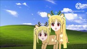 伊地知ニジカ　交尾