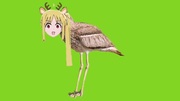イシチドリニジカGB