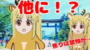 伊地知ニジカによる本能的なベリークッション栽培です。５時間４３秒の保証付きなので安心です。