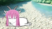 ゴートうひとり　夏の風物詩