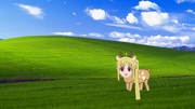 https://www.nicovideo.jp/watch/sm42027001